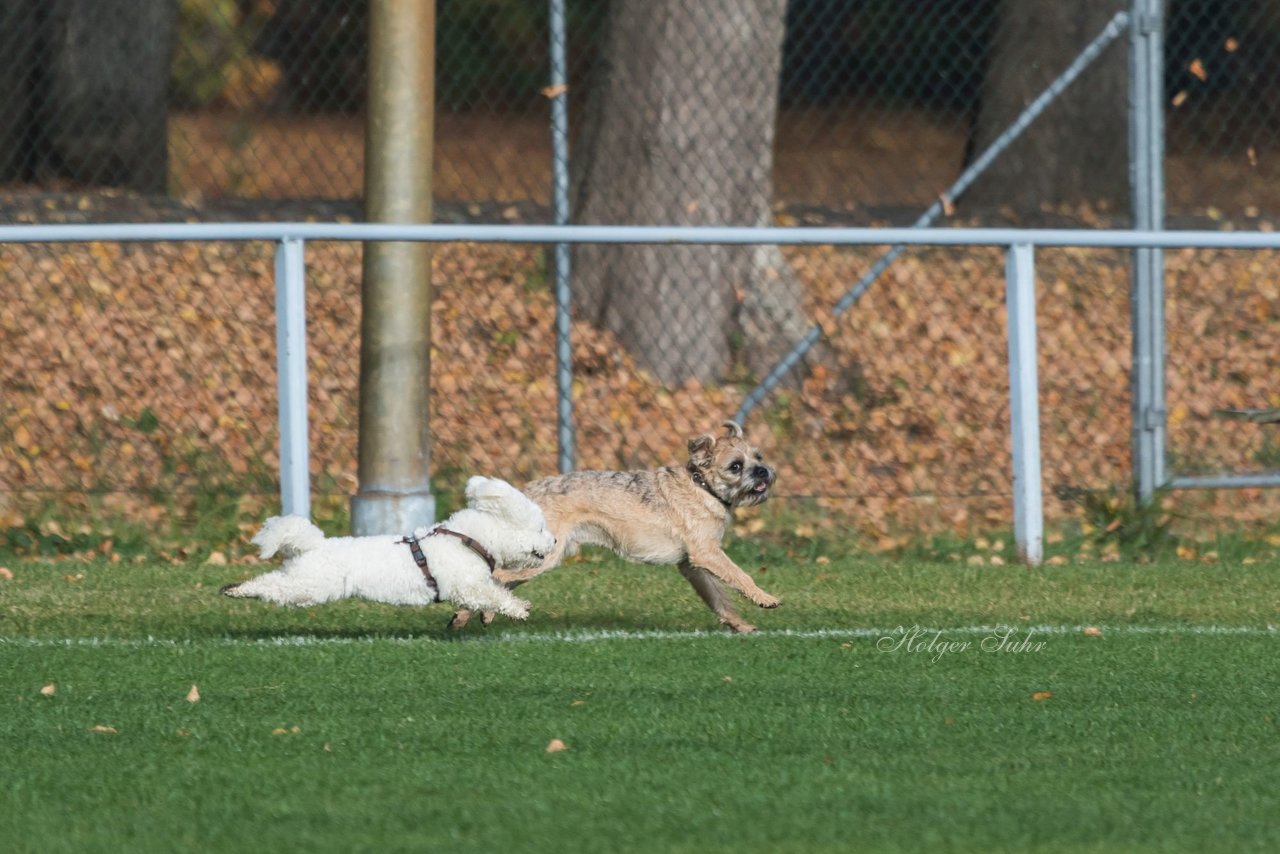 Bild 187 - wBJ MSG Steinhorst-Krummesse - VfL Pinneberg : Ergebnis: 2:0